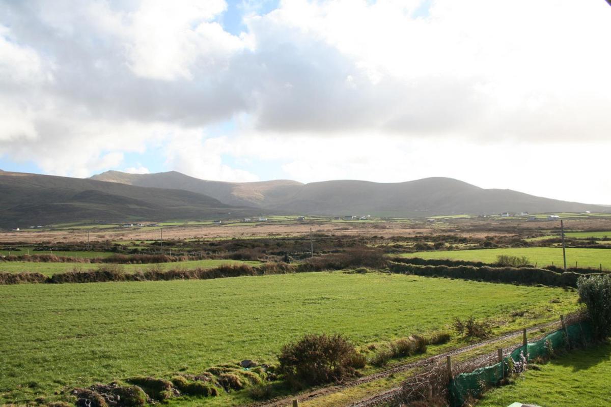 Coill An Rois B&B Ballydavid Buitenkant foto