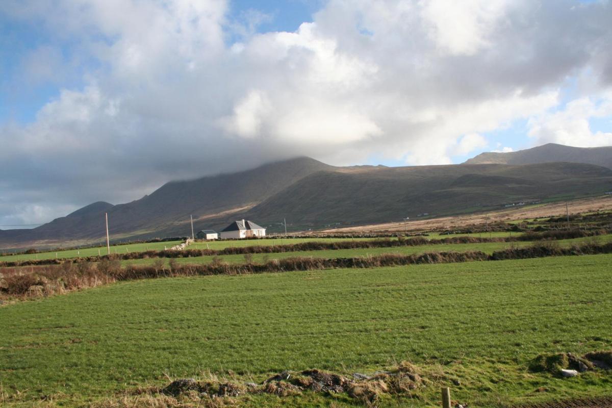 Coill An Rois B&B Ballydavid Buitenkant foto