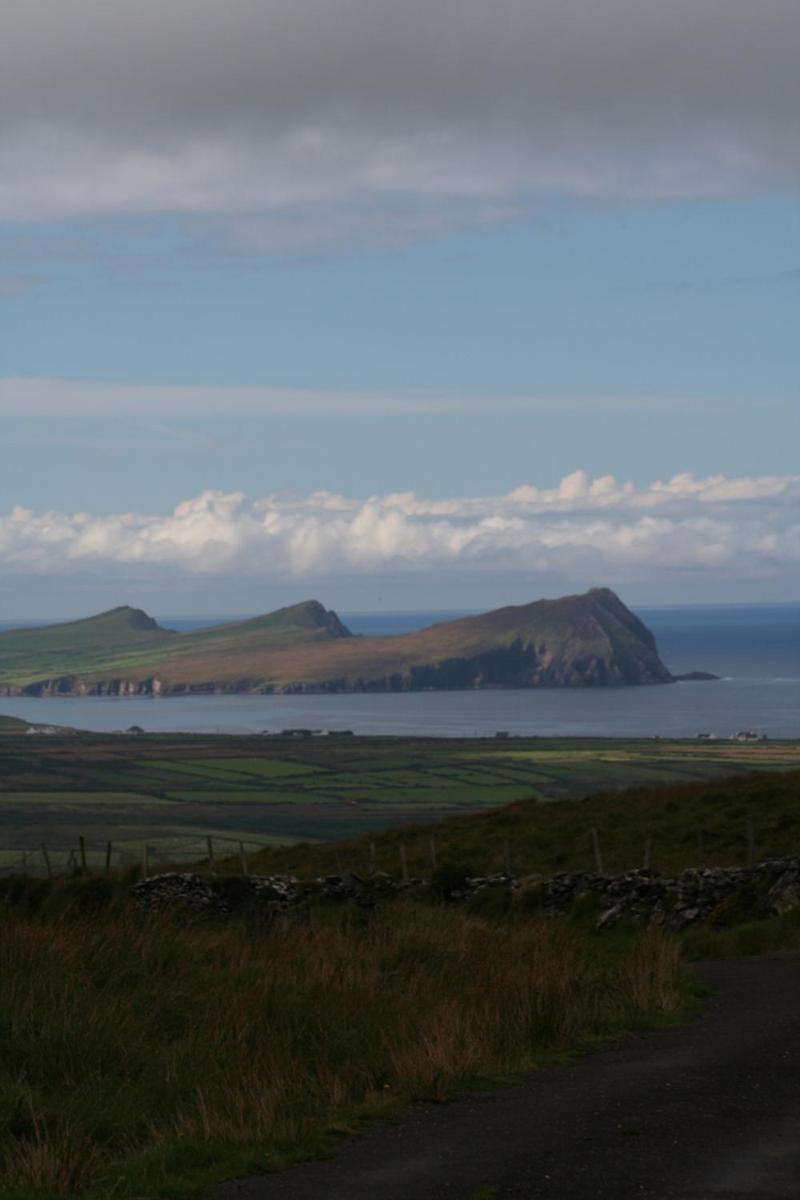 Coill An Rois B&B Ballydavid Buitenkant foto